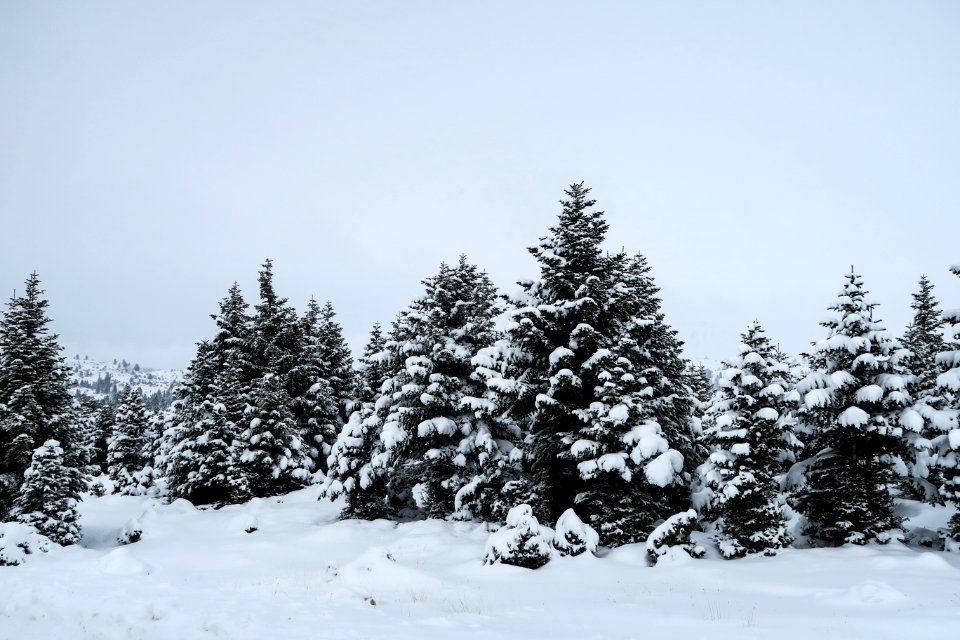 Kalavrita, Greece, Snow