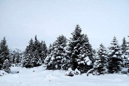 Kalavrita, Greece, Snow photo