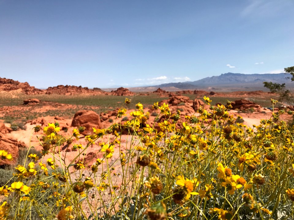 Overton, Nevada, United states