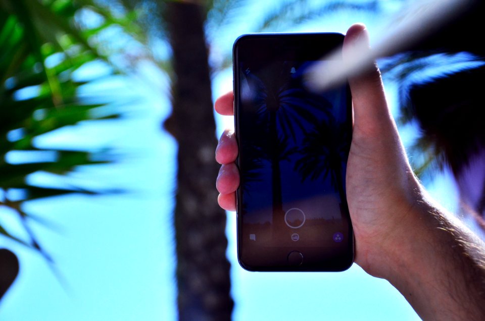 person holding iPhone 6