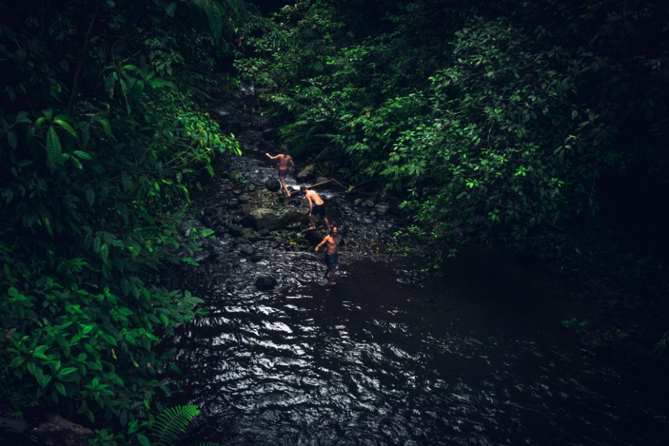 people walking on body of water between trees