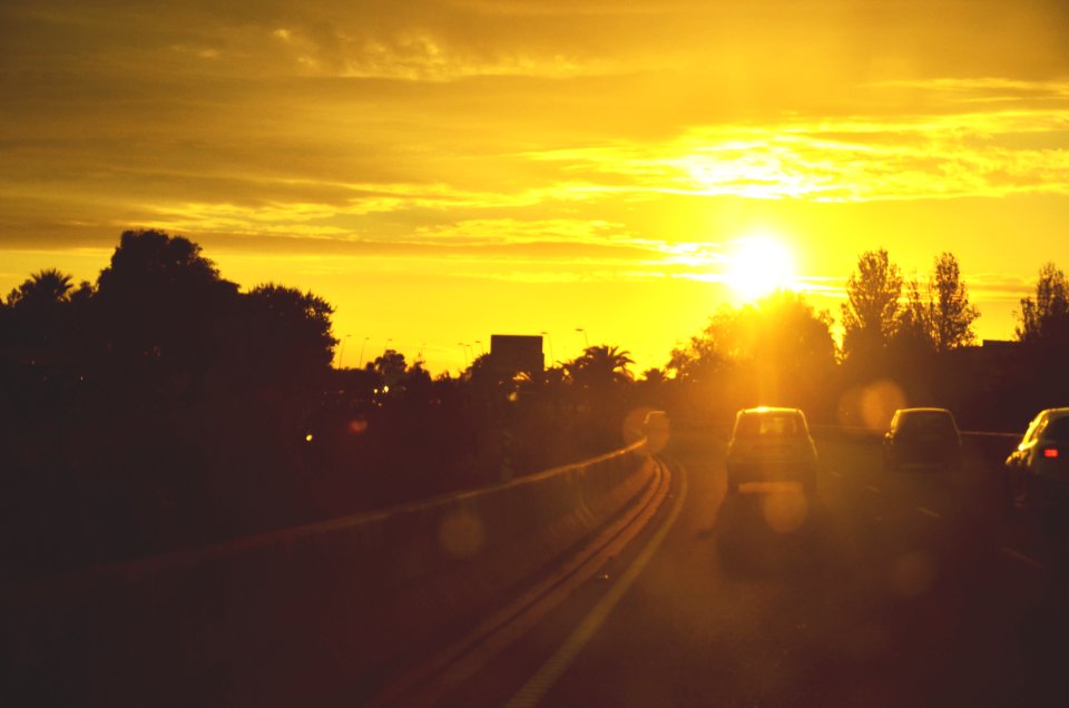 vehicles on road during golden hour