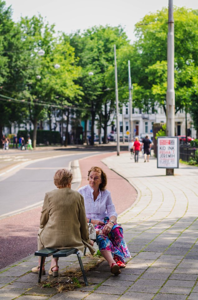 Amsterdam, Road, Noord holl photo