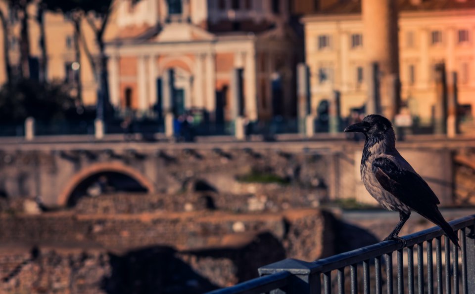 Rome, Italy, Girl