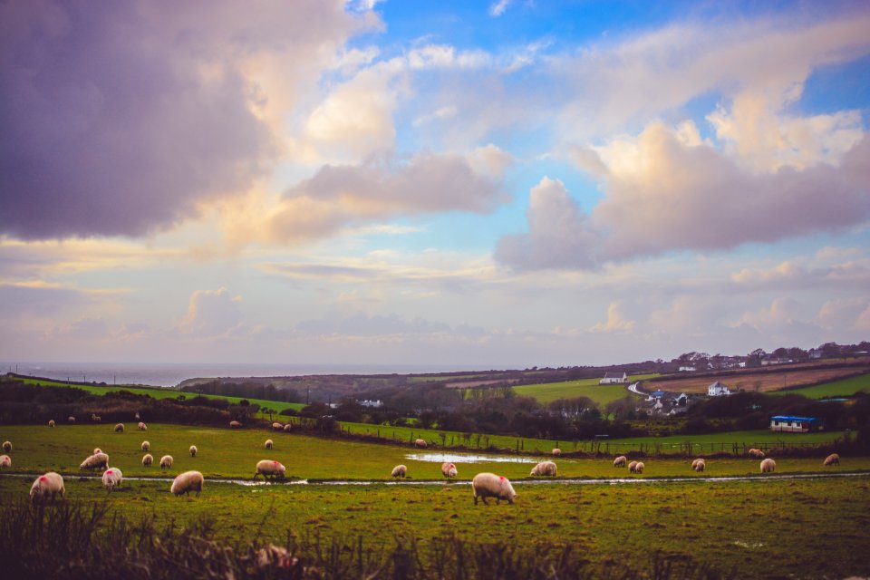 Sky, Cloud, Countryside photo