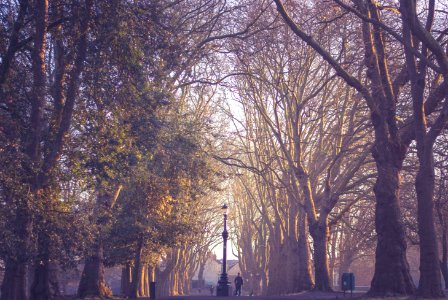 Saint george park, Bristol, United kingdom