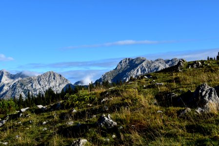 Velika planina, Slovenia, Nature photo