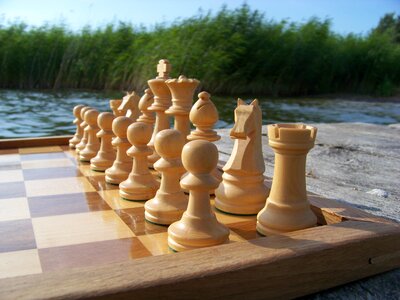 Chess pieces the basic position staunton