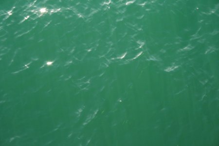 Ocean, Barcelona, Spain