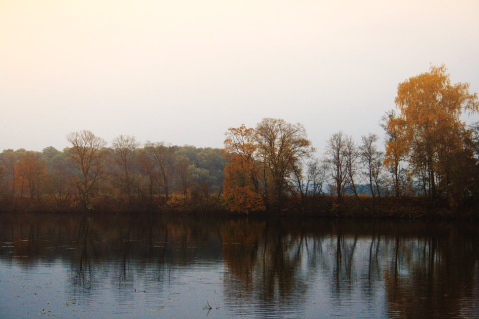 Arkhangelskoye, Russia, Trees