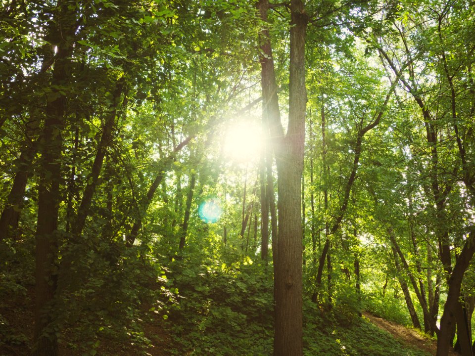 Russia, Scape, Nature