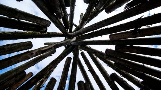 Wood outdoor forest photo