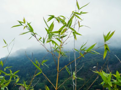 Nature, Scape, Mountain