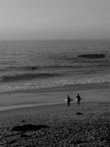 two men holding surf boards near ocean