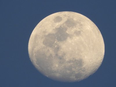 New delhi, India, Moonrise