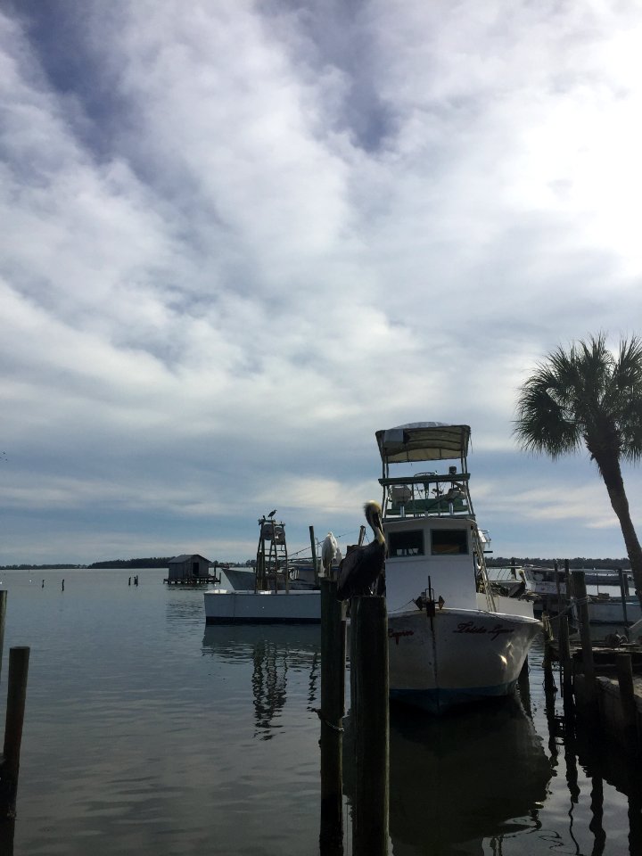 Cortez, United states, Docks