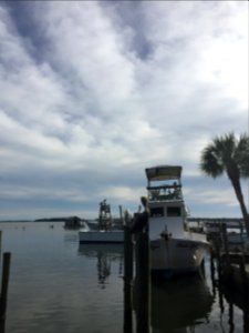 Cortez, United states, Docks