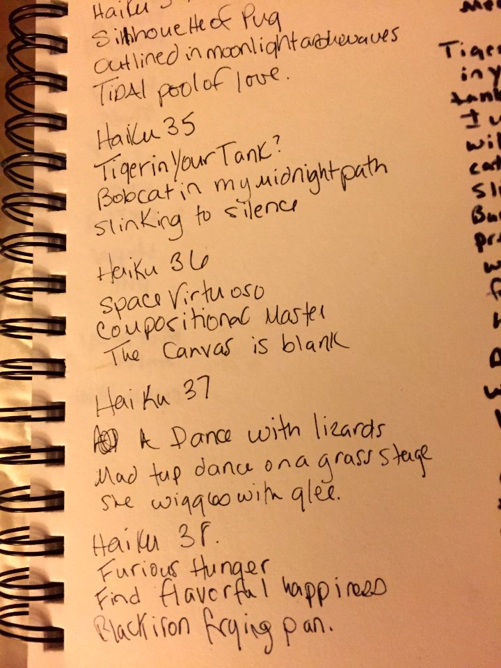 Nokomis, United states, Notebook
