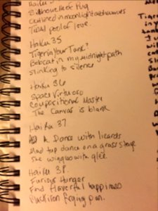 Nokomis, United states, Notebook