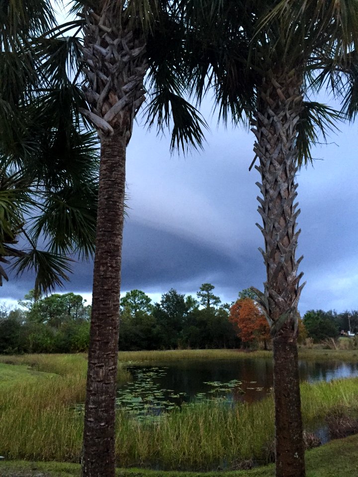 Lakewood ranch, United states, Stormcloud