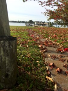 Nokomis, United states, Path