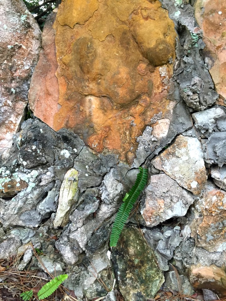 Nokomis, United states, Rock