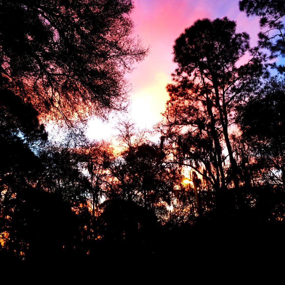 Turkey creek road, Plant city, United states