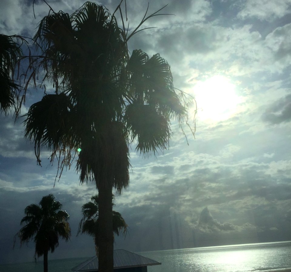 Bradenton beach, United states, Sihlouette