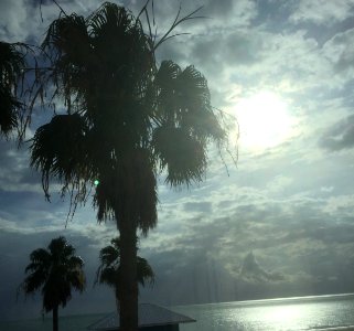 Bradenton beach, United states, Sihlouette