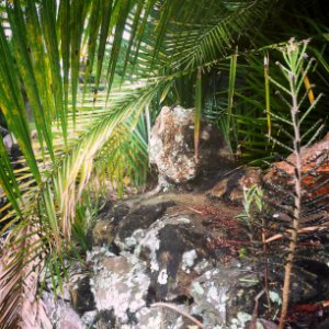 Nokomis, United states, Rock