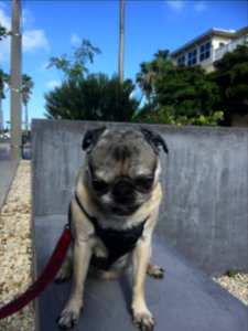 Bradenton beach, United states, Bench