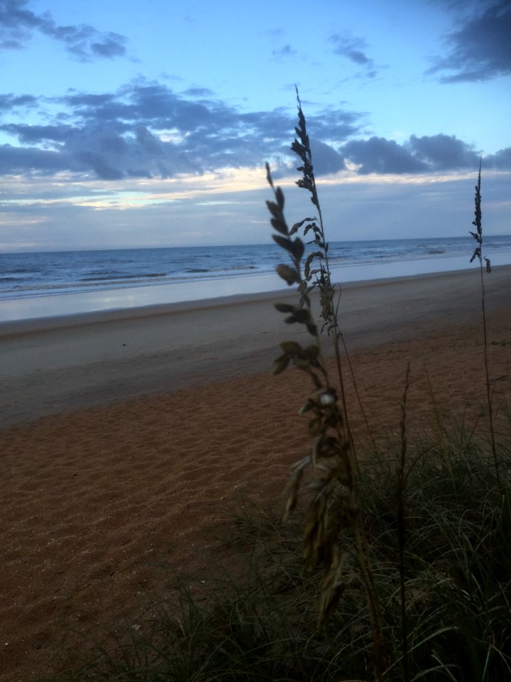 Flagler beach, United states, Coastal