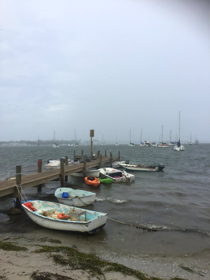 Bradenton beach, United states, Sea