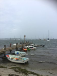 Bradenton beach, United states, Sea
