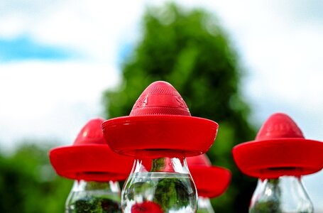 Red headwear tequila bottle photo