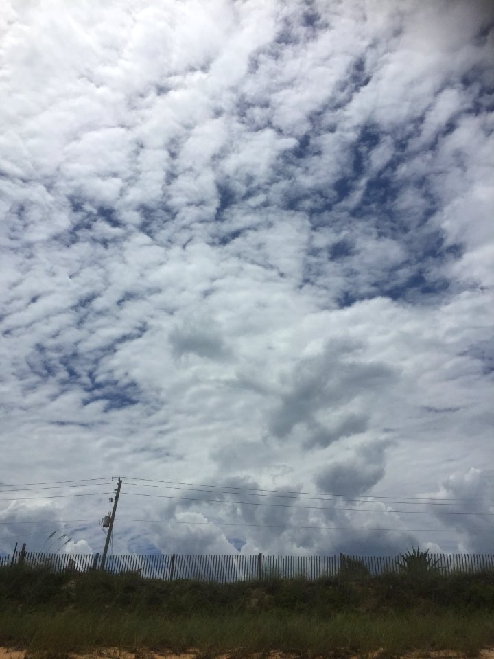 Flagler beach, United states, Happy