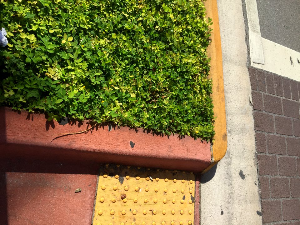 Sidewalk, South beach, Miami beach