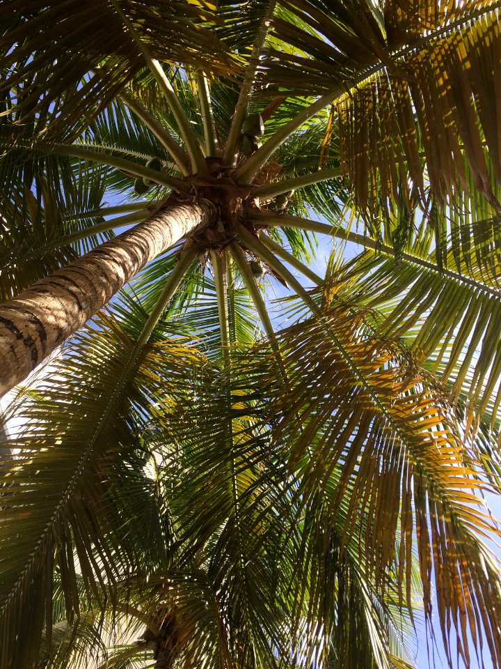 Miami beach, United states