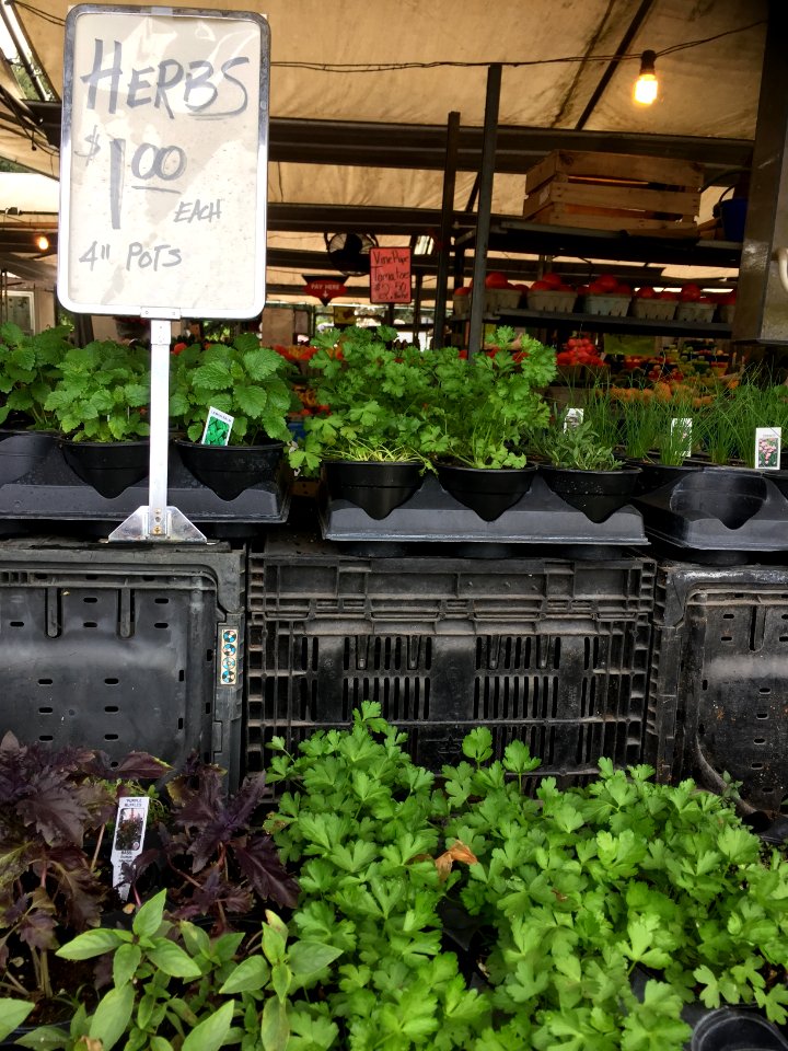 Turkey creek, United states, Farmers market