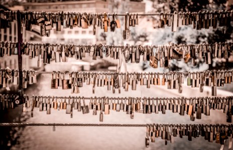 assorted padlocks hanged on wire