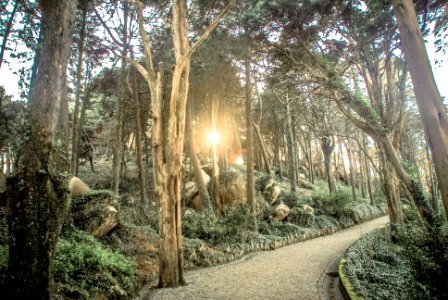 Sintra, Portugal, Park photo