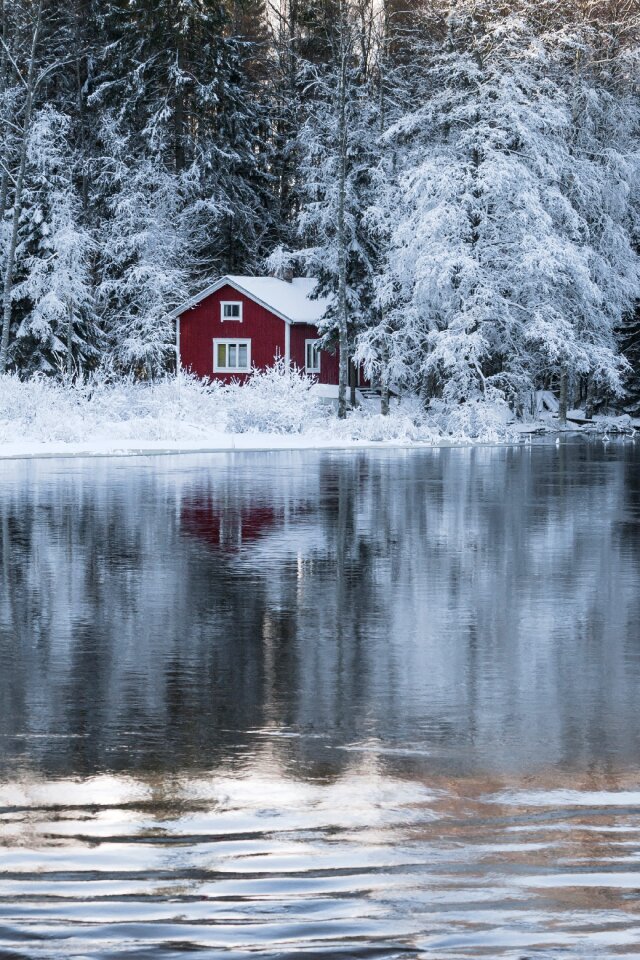 Water sula winter