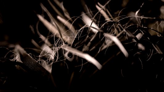 Vinar s, Spain, Wallpaper