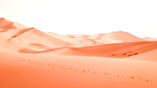 landscape photography of dessert