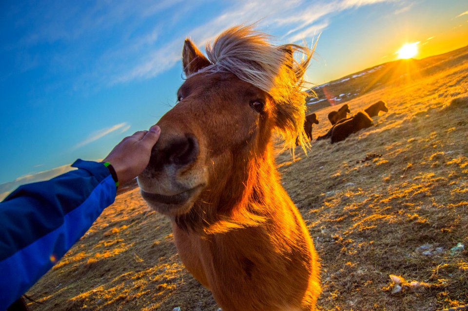 Friends, Friendship, Nature