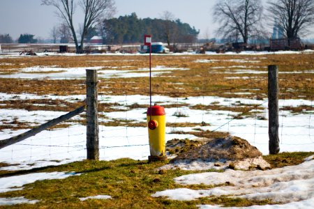 Blyth, Canada, Fire hydrant