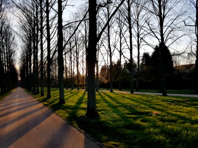 Shadow