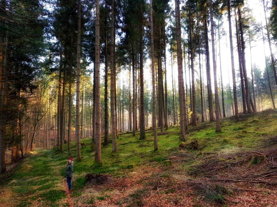 Nature