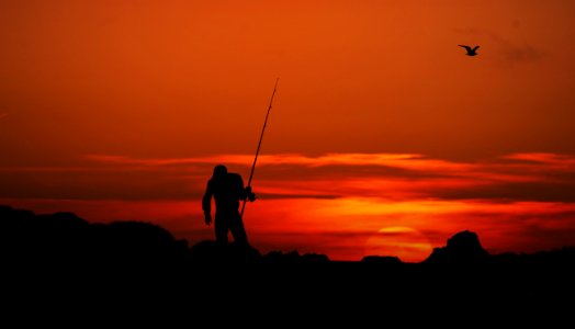 silhouette of 2 person holding fishing rods during sunset photo