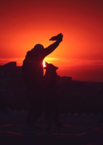 Asilah, Morocco, Motion